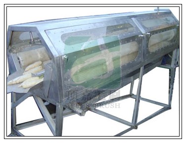 毛刷輥式蘿卜清洗機