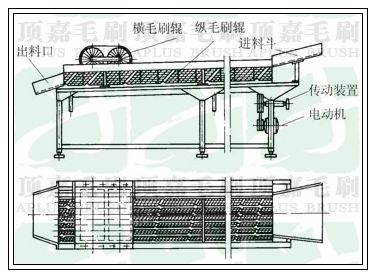 洗果機(jī)結(jié)構(gòu)圖